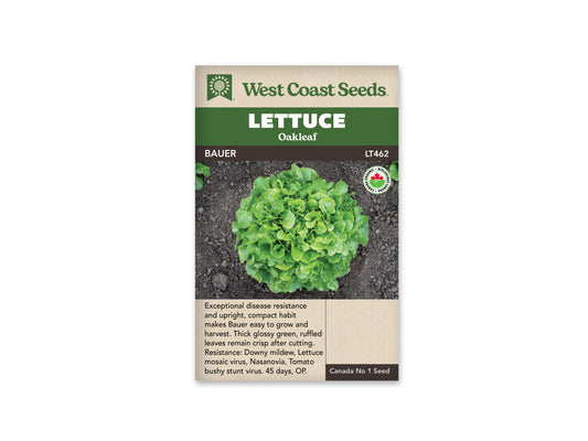 Lettuce Bauer Organic WCS Seed