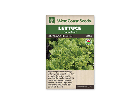 Lettuce Tropicana Pelleted Organic WCS Seed