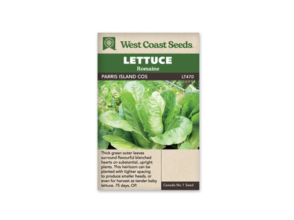 Lettuce Parris Island WCS Seed