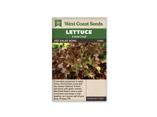 Lettuce Salad Bowl Red WCS Seed