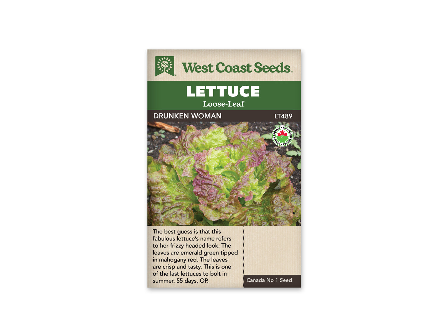 Lettuce Drunken Woman WCS Seed