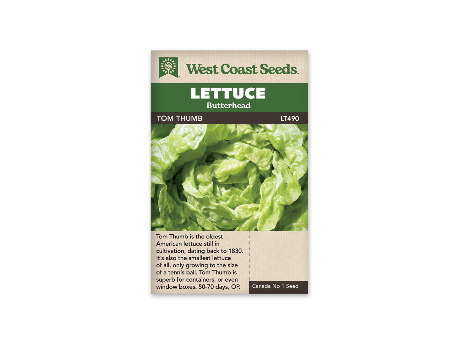 Lettuce Tom Thumb WCS Seed