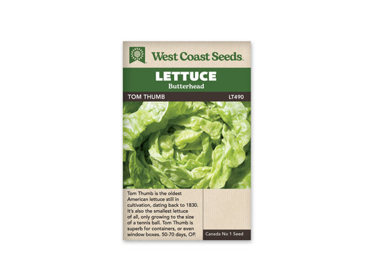 Lettuce Tom Thumb WCS Seed