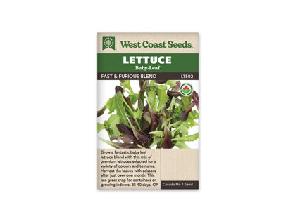 Lettuce Fast and Furious Blend WCS Seed