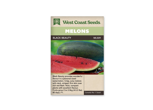 Watermelon Black Beauty Mini WCS Seed