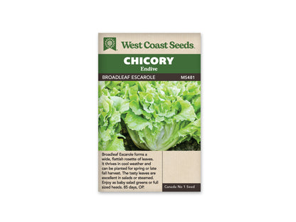 Chicory Broadleaf Escarole WCS Seed