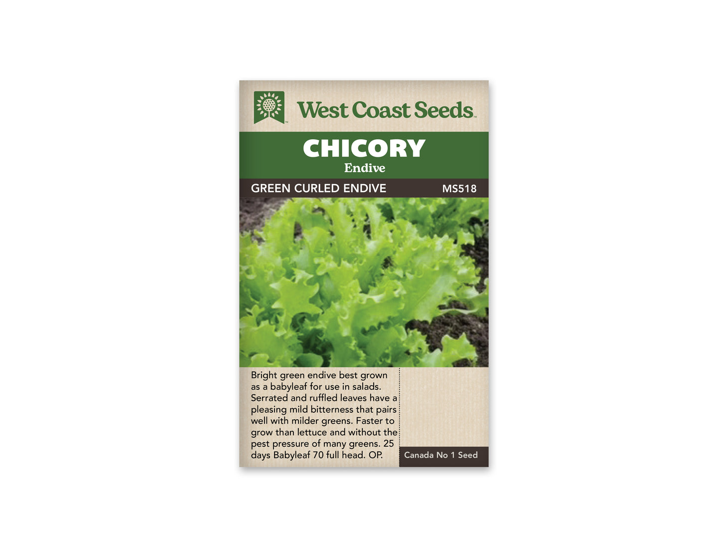 Chicory Green Curled Endive WCS Seed