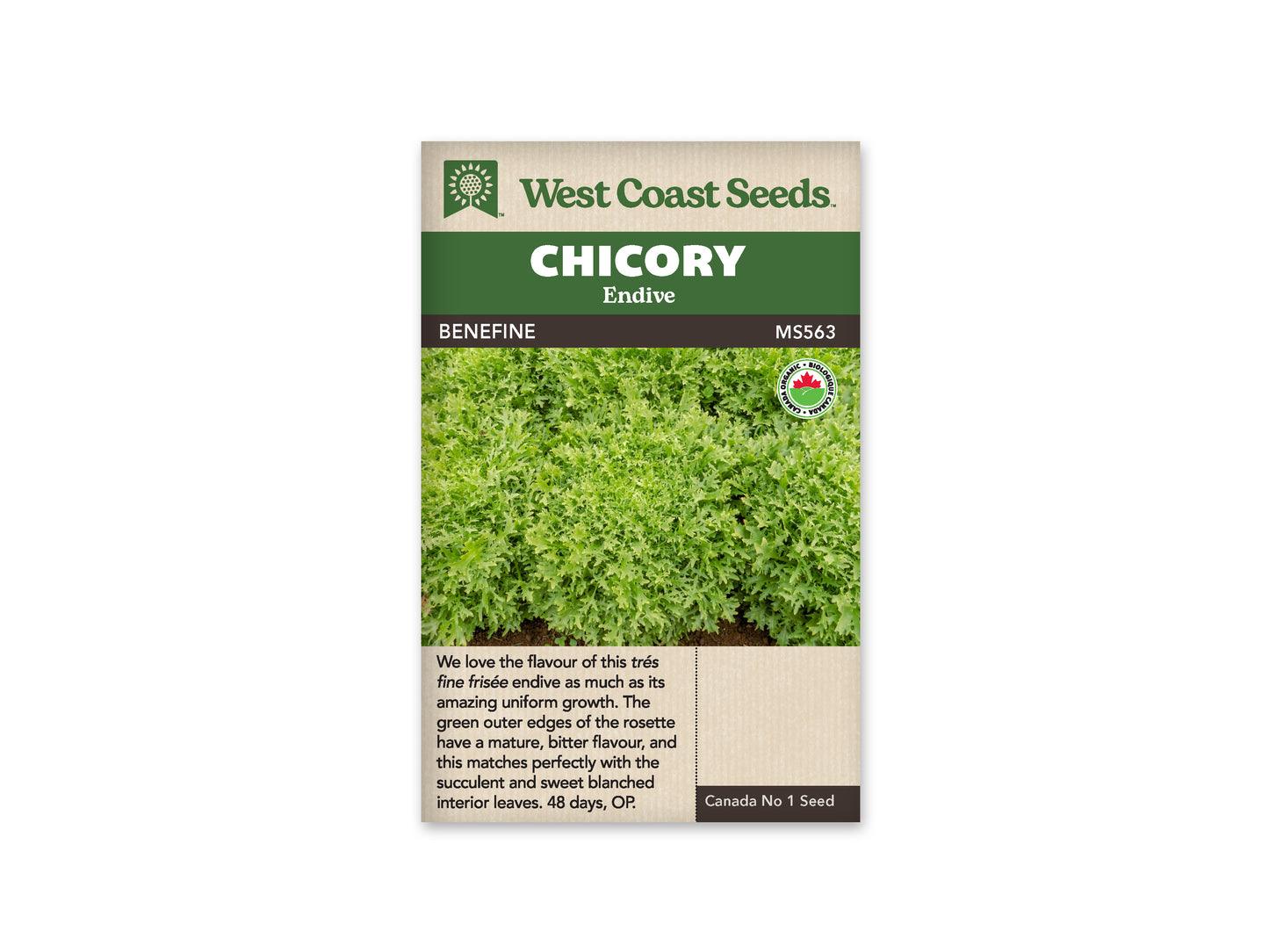 Chicory Benefine WCS Seed
