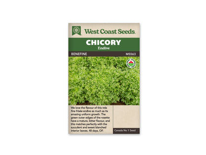 Chicory Benefine WCS Seed