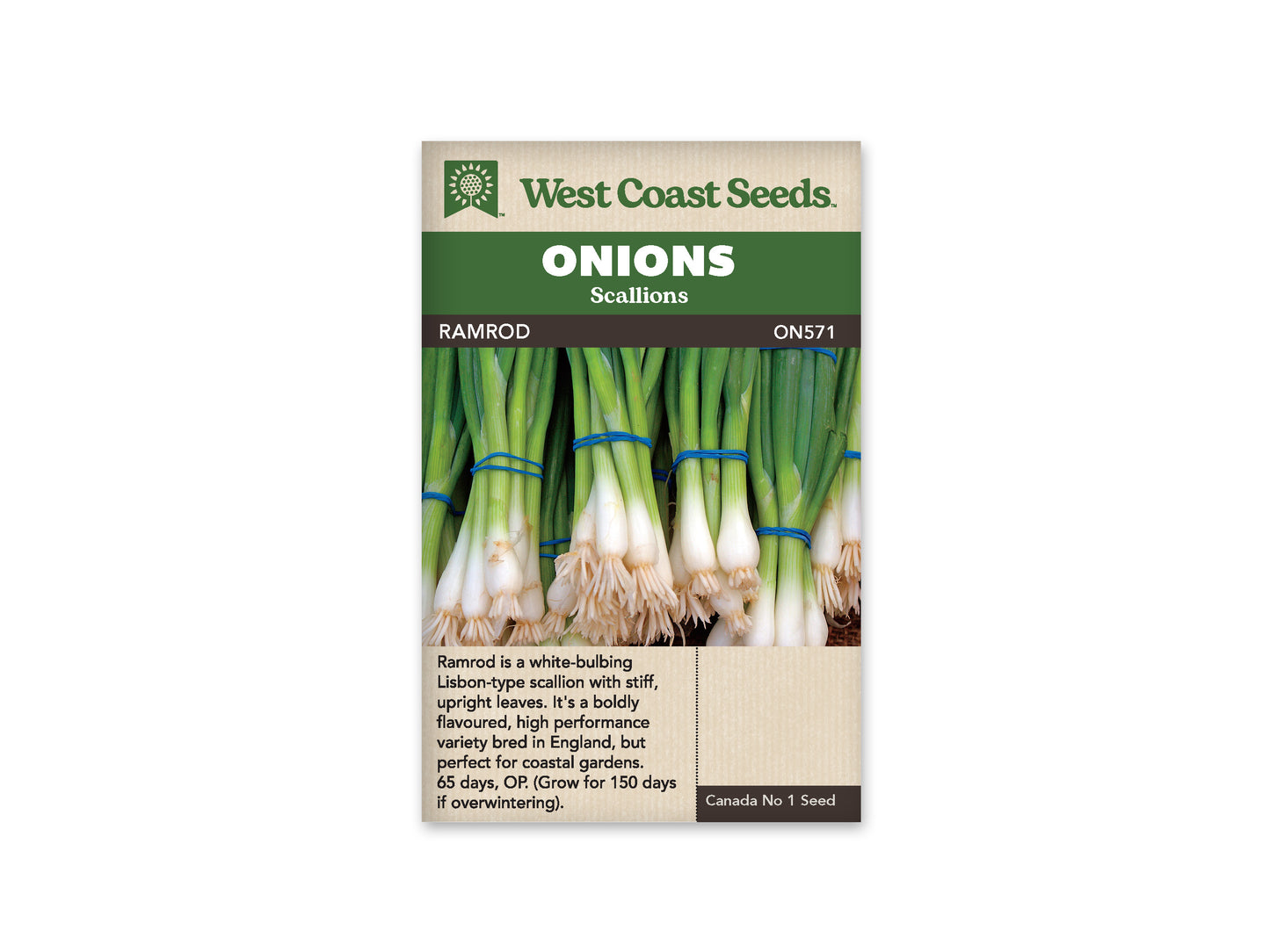 Onions Ramrod WCS Seed