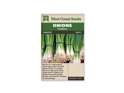 Onions Ramrod WCS Seed