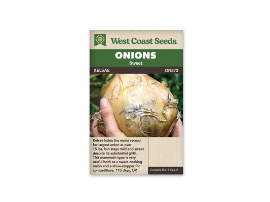 Onions Kelsae WCS Seed