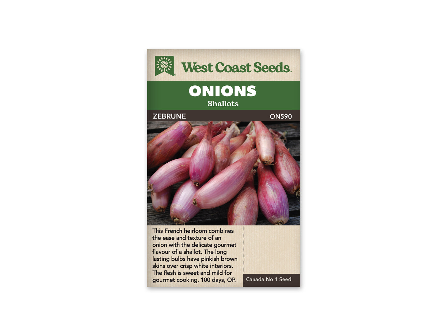 Onions Zebrune WCS Seed