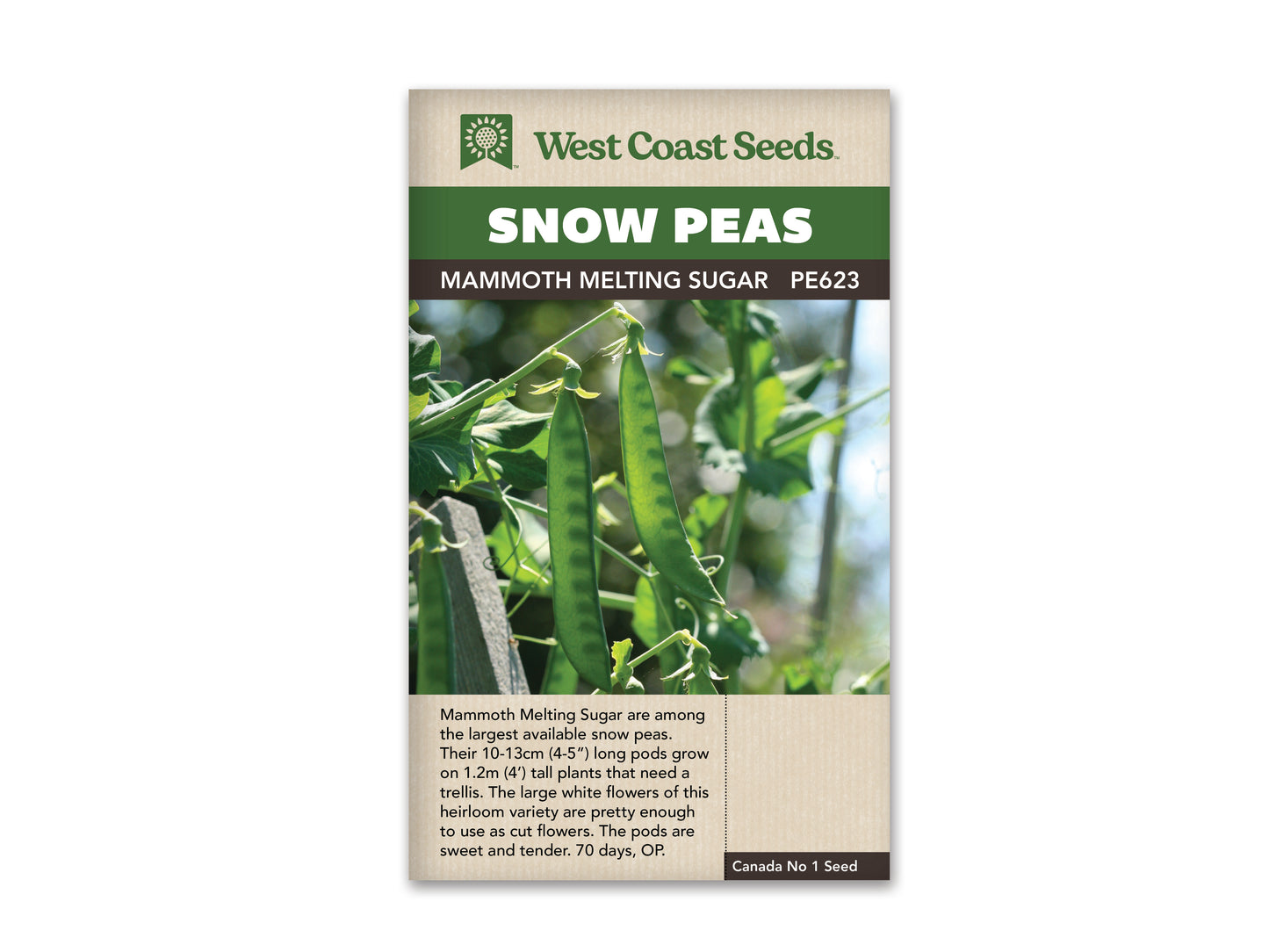 Peas Mammoth Melting Sugar WCS Seed SM