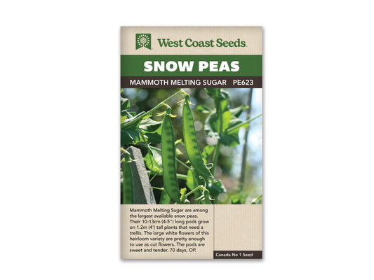 Peas Mammoth Melting Sugar WCS Seed SM