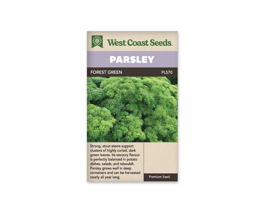 Parsley Forest Green WCS Seed