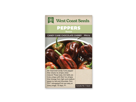 Pepper Candy Cane Chocolate Cherry WCS Seeds