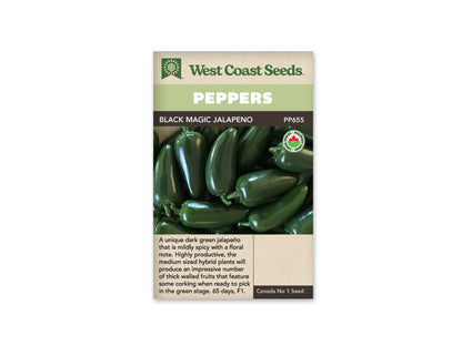 Peppers Jalapeno Black Magic Organic WCS Seed