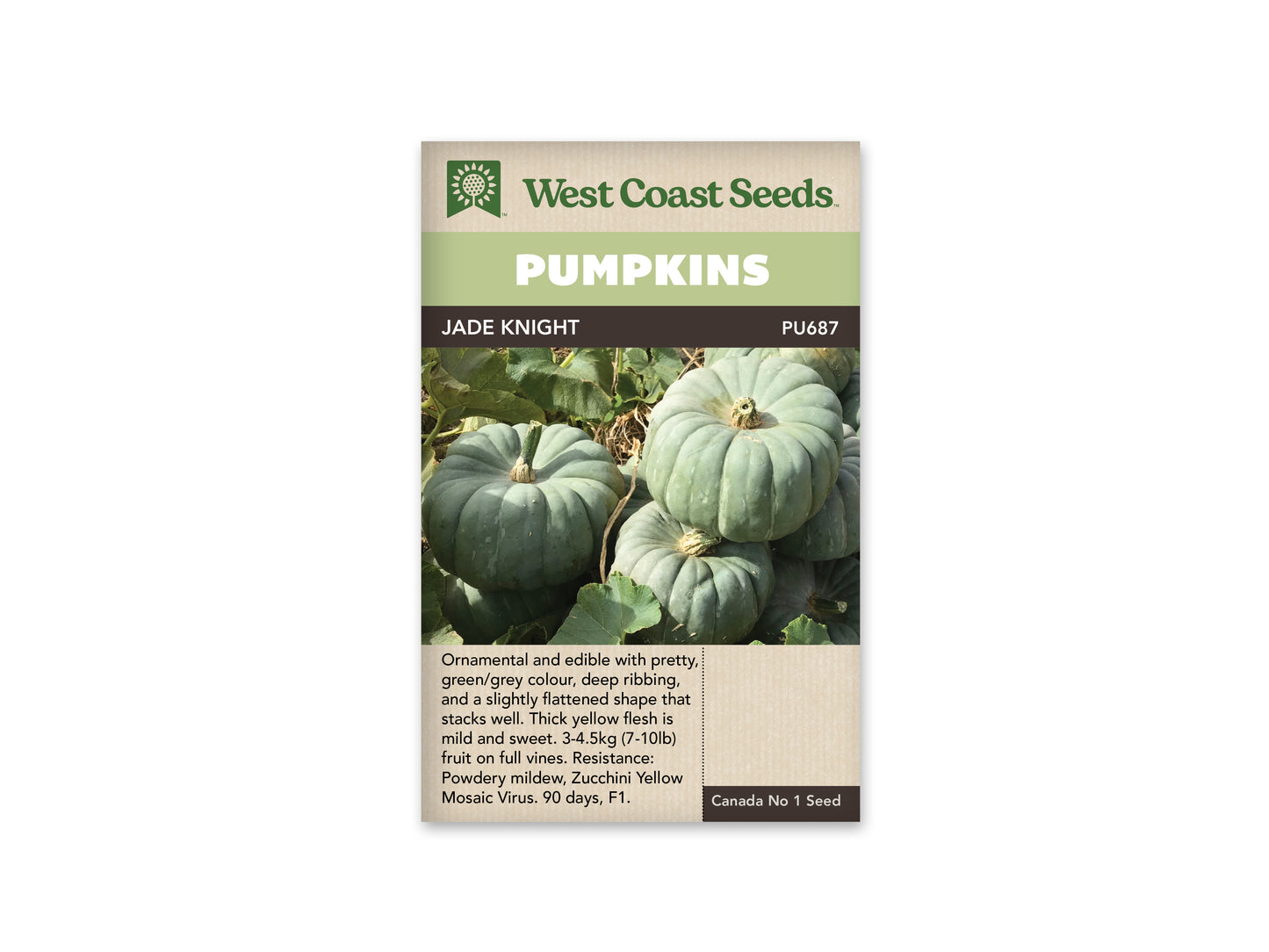 Pumpkin Jade Knight WCS Seed