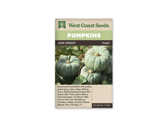 Pumpkin Jade Knight WCS Seed