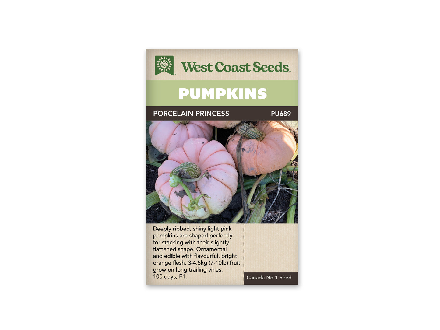 Pumpkin Porcelain Princess WCS Seed