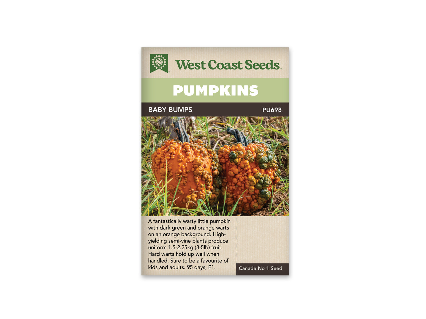 Pumpkin Baby Bumps WCS