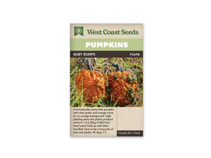 Pumpkin Baby Bumps WCS