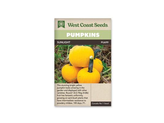 Pumpkin Sunlight WCS