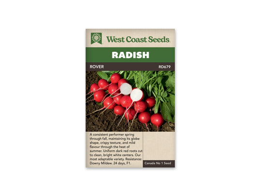 Radish Rover F1 WCS Seed