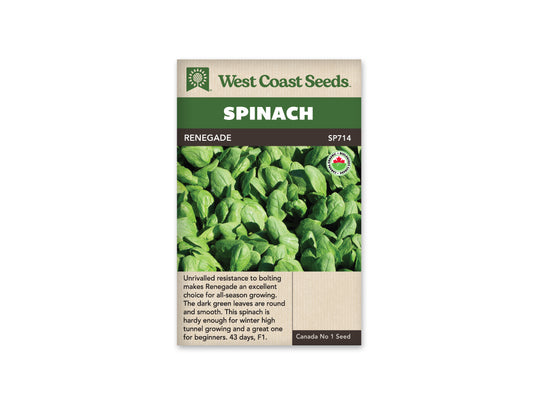 Spinach Renegade F1 Coated Organic WCS Seed