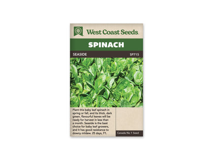 Spinach Giant Winter Organic WCS Seed