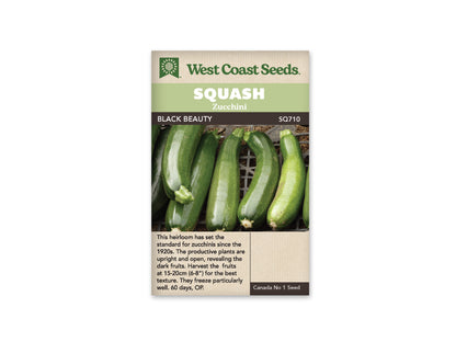 Squash Black Beauty Zucchini WCS Seed