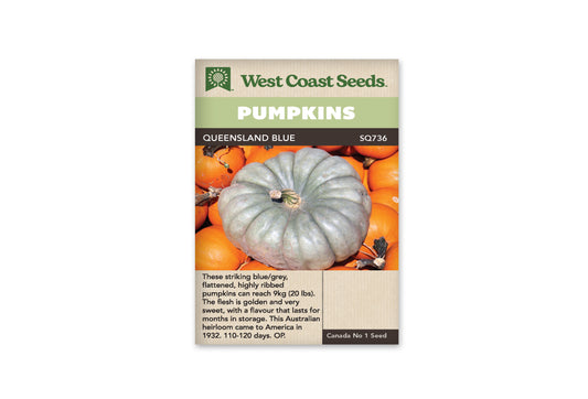 Squash Queensland Blue WCS