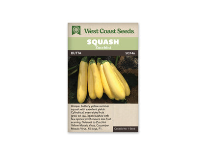 Squash Butta Zucchini WCS Seed