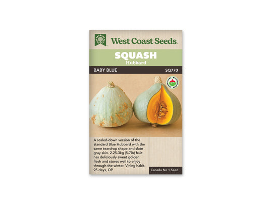 Squash Baby Blue Organic WCS