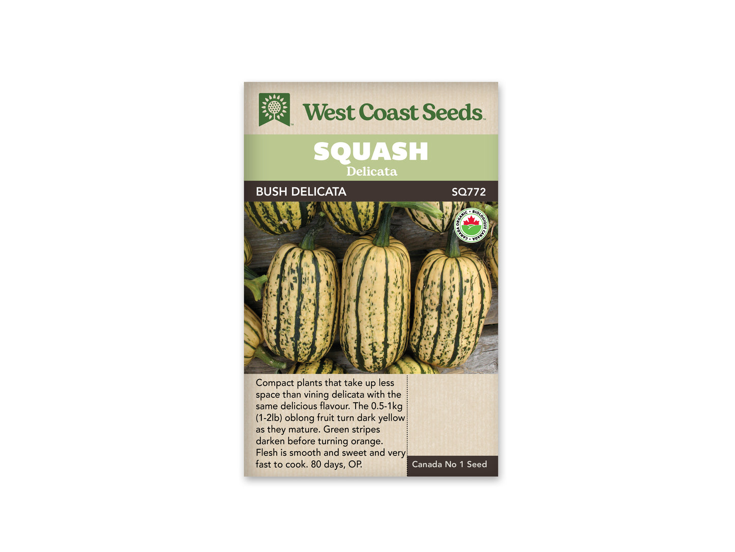 Squash Delicata Organic WCS Seed