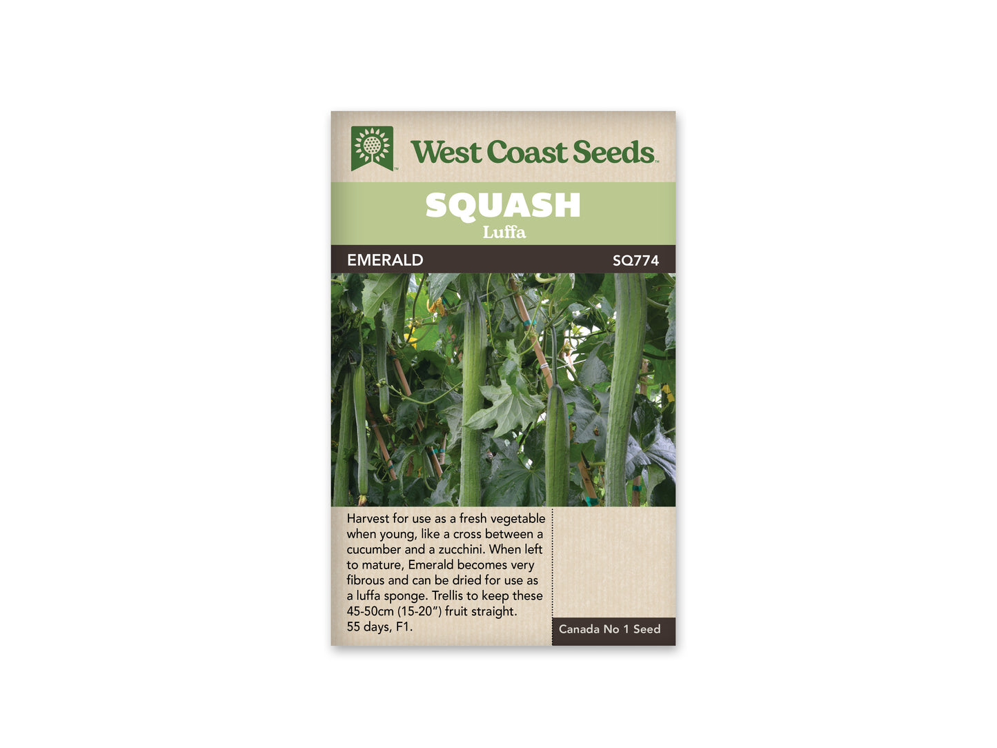 Squash Emerald Luffa F1 WCS
