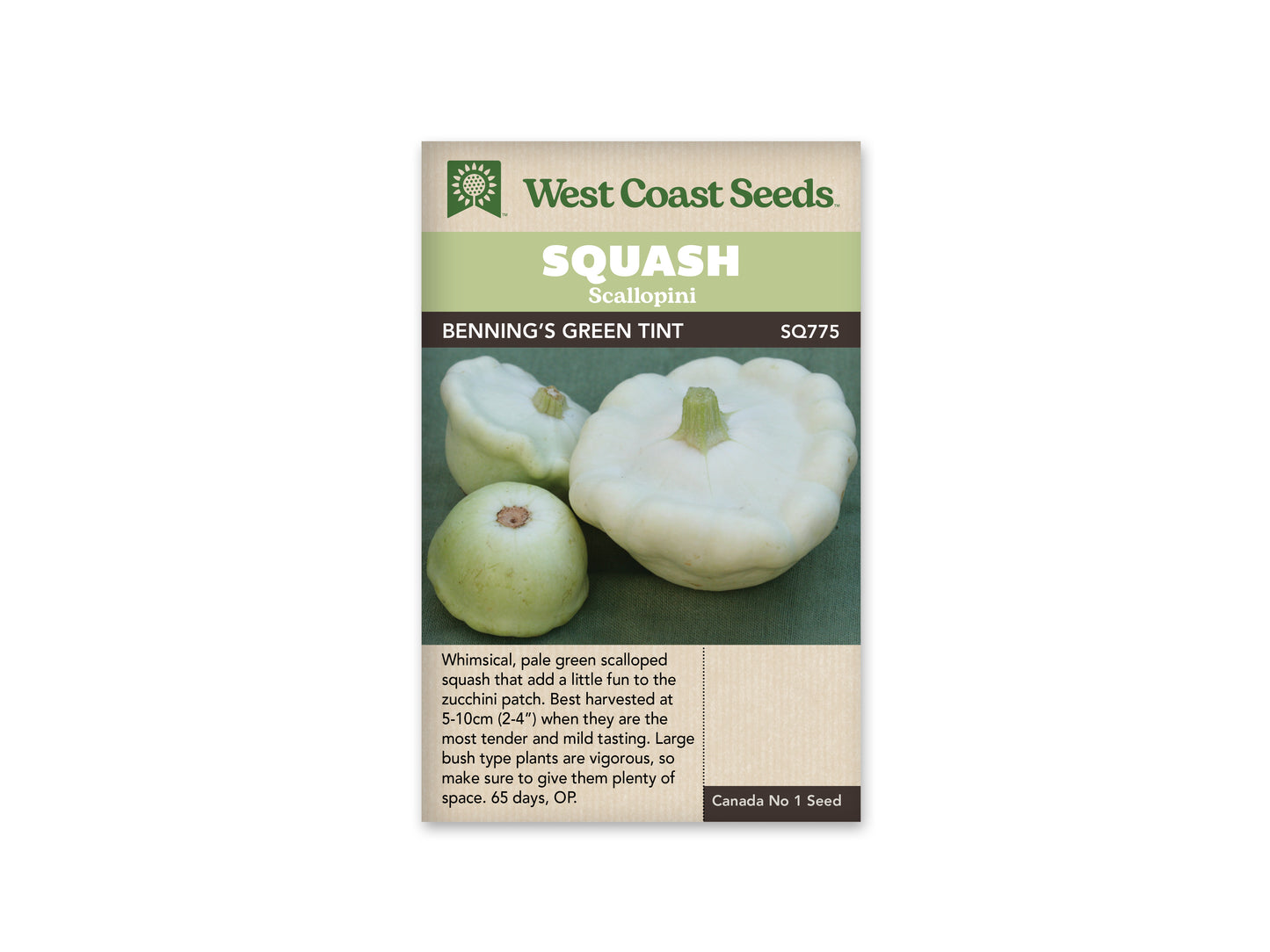 Squash Bennings Green Tint WCS Seed