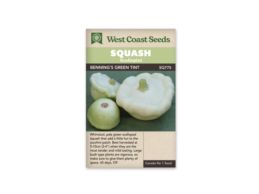 Squash Bennings Green Tint WCS Seed