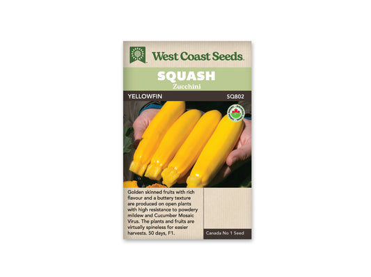 Squash Yellowfin Organic WCS Seed