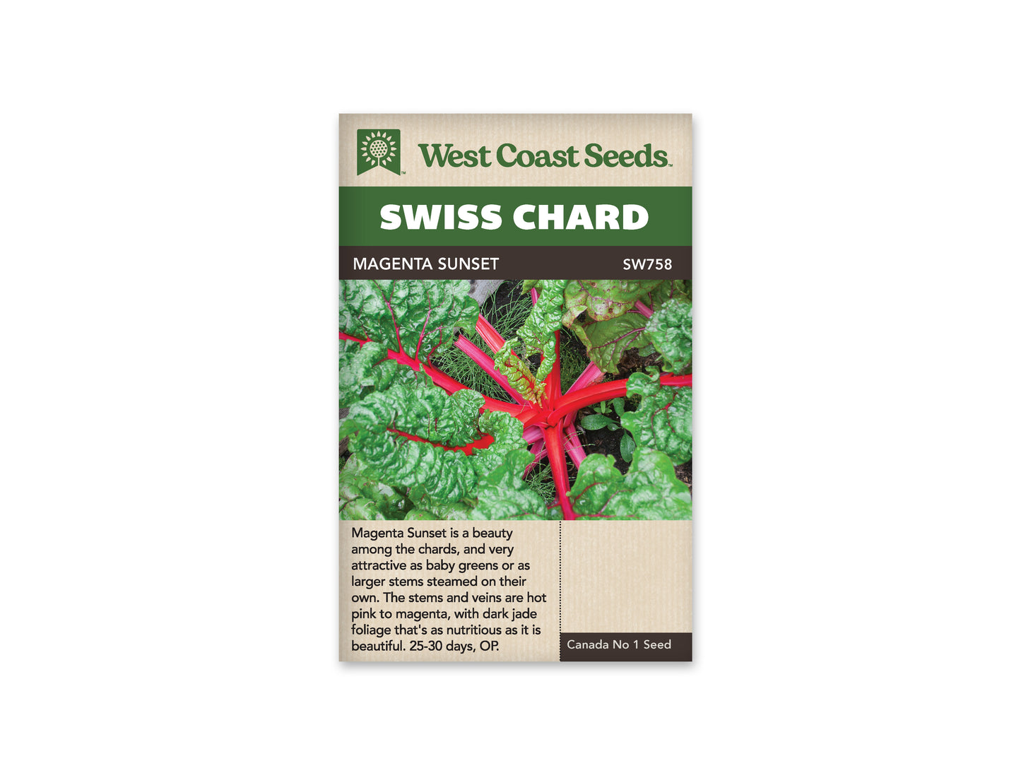 Swiss Chard Magenta Sunset WCS Seed