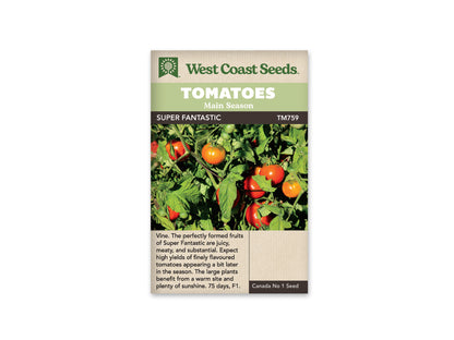 Tomatoes Super Fantastic WCS Seeds