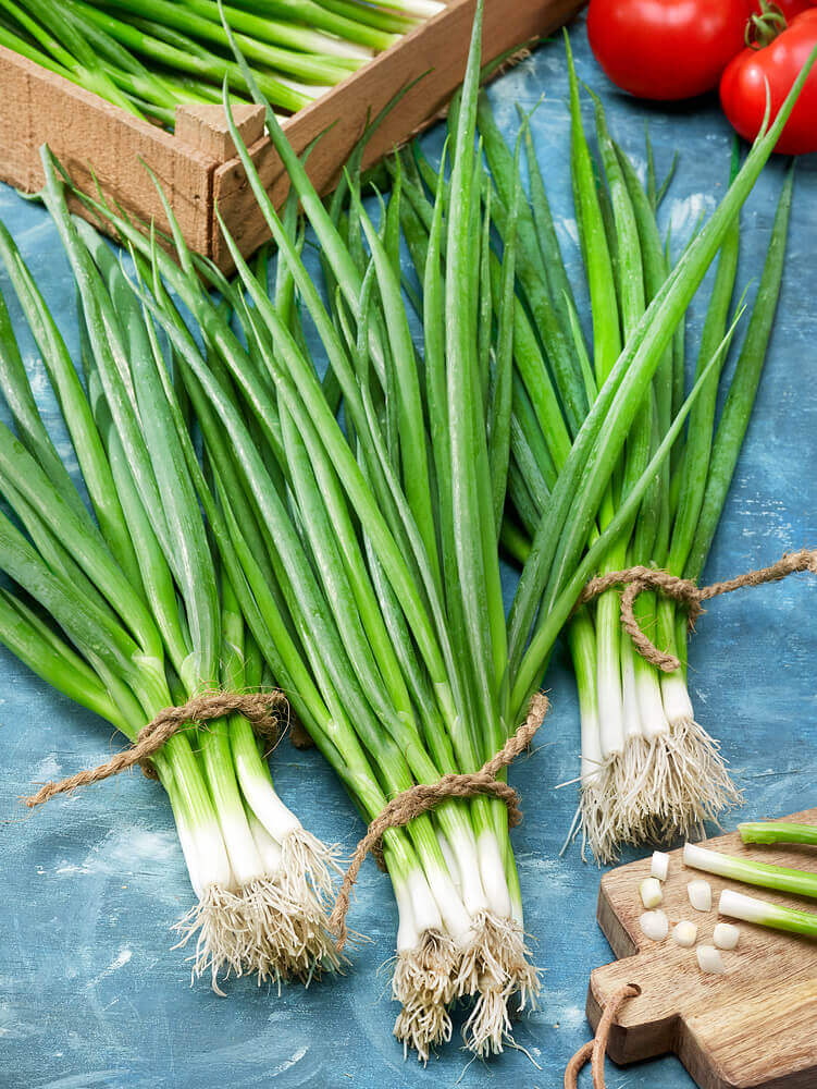 Onion White Gem Hybrid OSC Seed