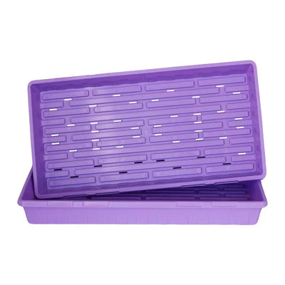 Bootstrap Farmer 1020 Tray Coloured With Holes