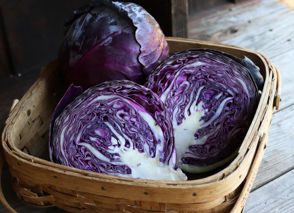 Cabbage Red Omero