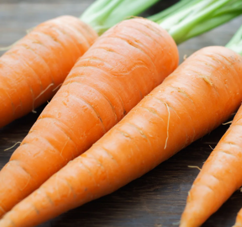 12 Days of Growing - A Gardener's Gift