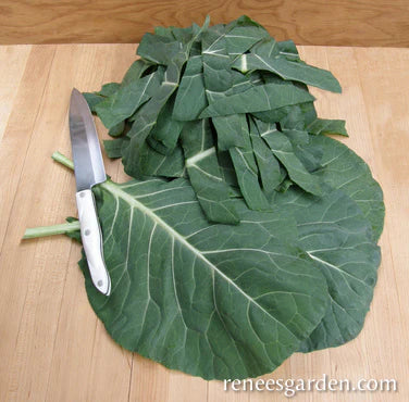 Collards Green Flash