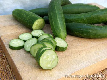 Cucumber Tasty Green