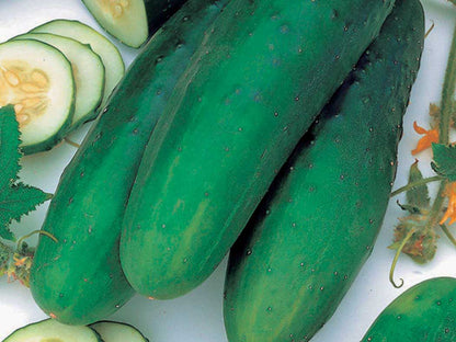 12 Days of Growing - A Gardener's Gift