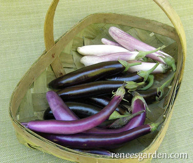 Eggplant Asian Trio